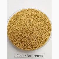 Продам насіння гірчиці білої