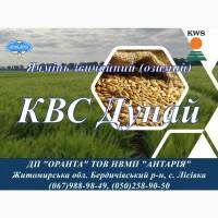 Насіння озимого ячиеню КВС Дунай (СН, перша)
