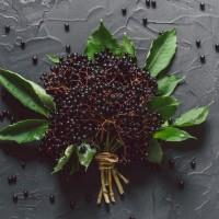 Бузина. Закупляємо бузину