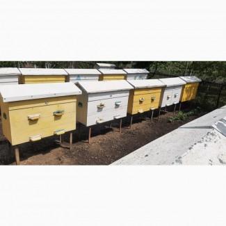 Продам вулики