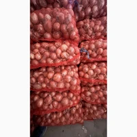 Продам цибулю