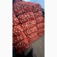 Продам цибулю