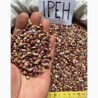 Воздушка чеснока ЛЮБАША , ИРЕН , ДЮШЕС .5-7 мм