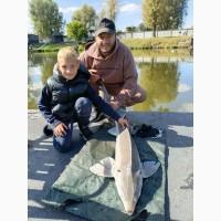 Продаж осетрових риб для зариблення, рибництва, ресторанів та інших зацікавлених