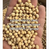 Куплю вологу сою, - послуги зерносушки