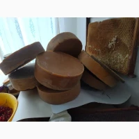 Продам віск бджолиний