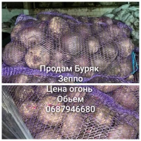 Продам Буряк сорт зеппо