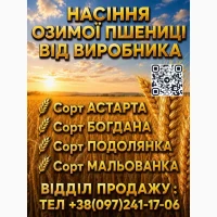Продам елітне насіння (озимої) пшениці 2026 року