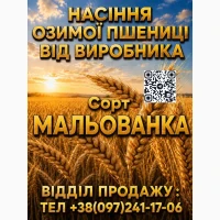 Продам елітне насіння (озимої) пшениці 2026 року