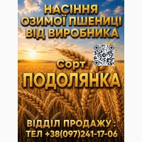 Продам елітне насіння (озимої) пшениці 2026 року
