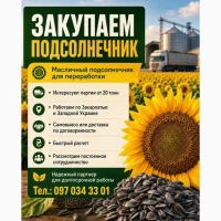 Купуємо соняшник на переробку від 20 тонн | Західна Україна