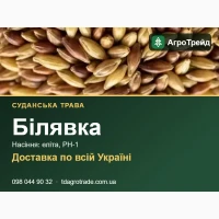 6іля8кв - судвнськв трв8в, нвсіння елітв, РН-1 3 д0кументвми