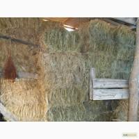 Продам сено в тюках