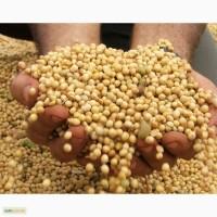 Куплю сою. Дорого