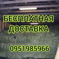Сено люцерны, луговое в больших объемах с доставкой. Форма оплаты любая. Доступные цены