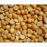 Куплю отходы сои, половинку, четвертинку, отклонения по влаге. Дорого