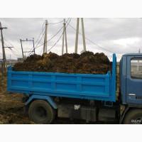 Продам гний не дорого