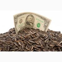 Семена подсолнечника VIKING F 696