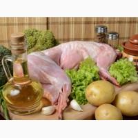 Мясо домашнього кролика