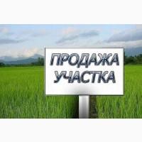 Промзона Киев || Продам свой Участок 1.5 га || с.Шпитьки 17 км || Продажа земли