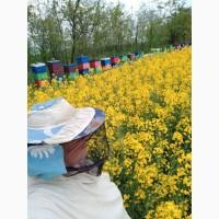 Бджолопакети