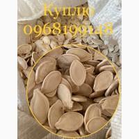 Куплю насіння гарбуза