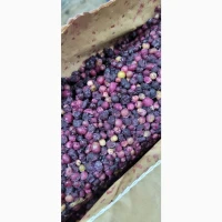 Продам лохину заморожену 2 сорту