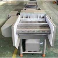 Барботажна ванна з конвеєром для миття зелені, ягід, овочів STvega BW L4000