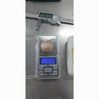 Продам чеснок однозубка Любаша на посадку