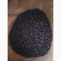 Куплю ожину