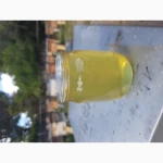Продам липовий мед оптом