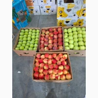 Продам яблука в асортименті без парші