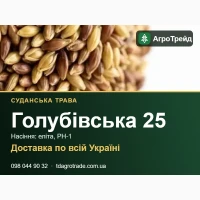 Судвнськв трв8в Г0лу6і8ськв 25: пр0двж нвсіння, елітв, РН-1