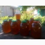 Пчелопакеты. Пчеломатки Карпатской пчелы с доставкой по Украине