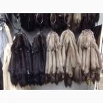 Шкурки соболя