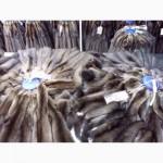 Шкурки соболя