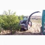 Раскорчевка садов, лесополос, рекультивация почвы