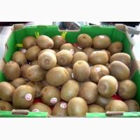 Продаем киви оптом, мелким оптом