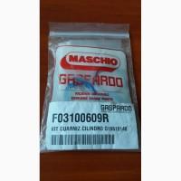F03100609 Ремкомплект гидроцилиндра маркера ГАСПАРДО (03100609 Gaspardo)