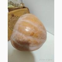 Продам семена тыквы Диво