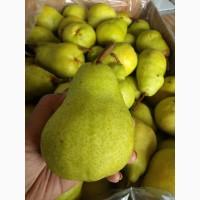 Fresh PEAR