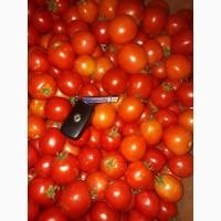 Продам помидоры красный, зеленый