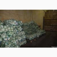 Продам овощехранилище