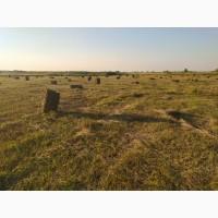 Сено. Урожай 2025. Власного виробництва