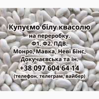 Куплю квасолю білих сортів