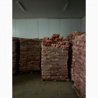 Куряча Тушка несушка патрана 2 категорії