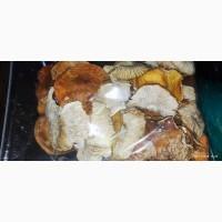 Мухомор червоний 3 сорт 25 року