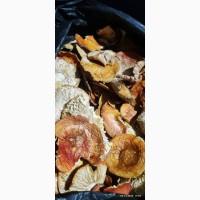 Мухомор червоний 3 сорт 25 року