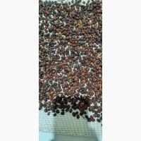 Продам глід (боярышник) сухий