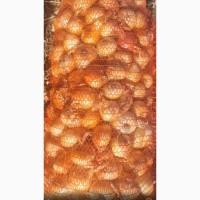 Продам лук на перо 3-8 зачатков